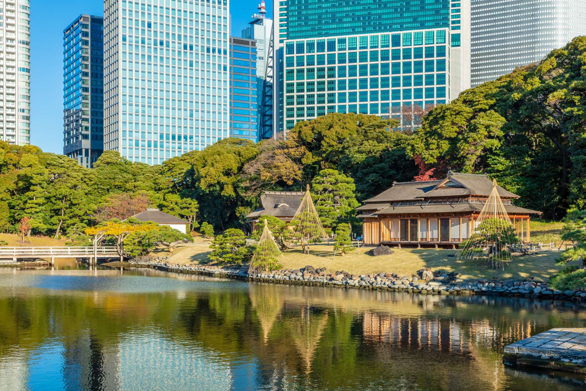 03_浜離宮_潮入りの池回り_秋_20211205_L