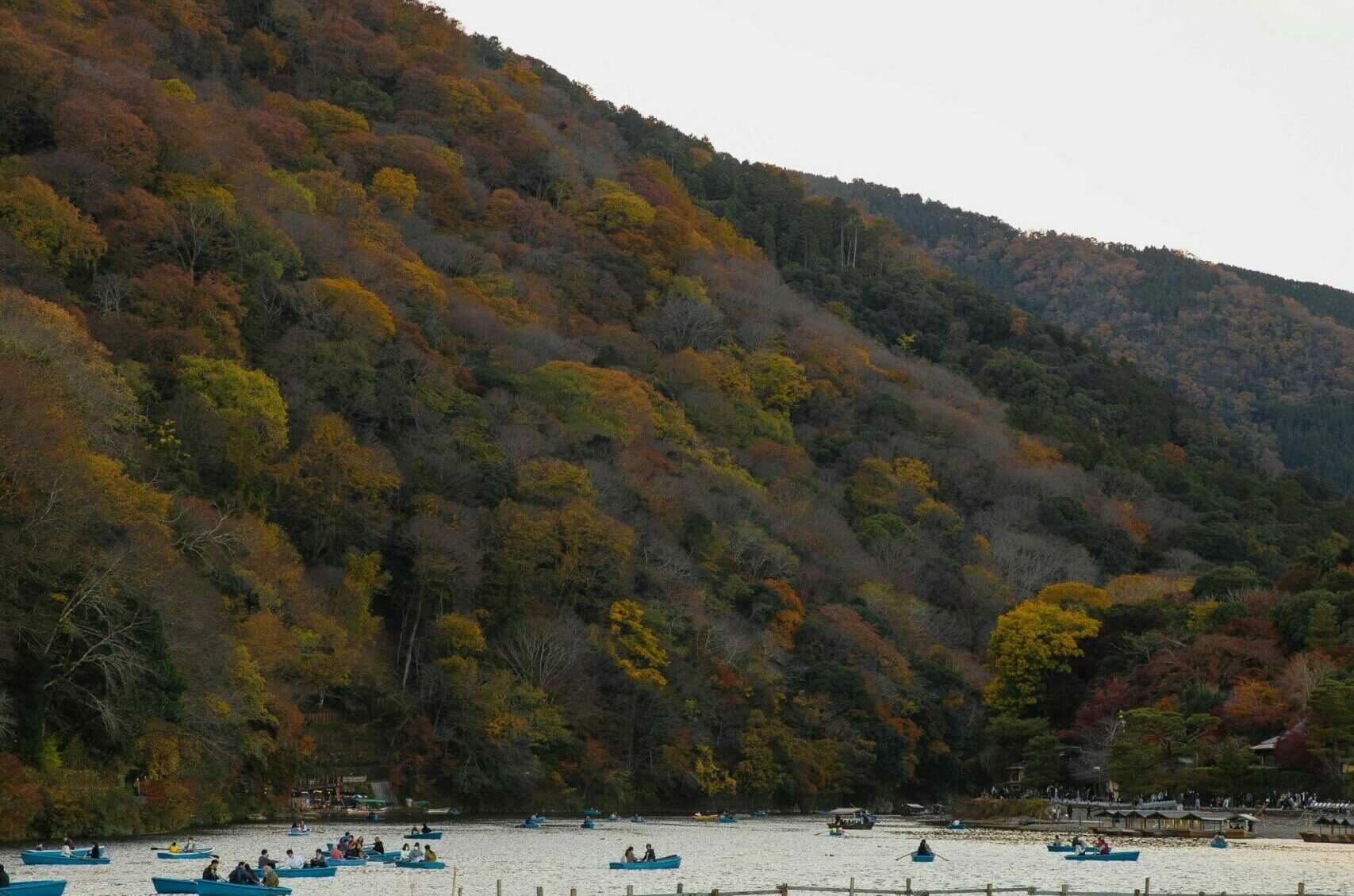 pexels-ryutaro-6249099