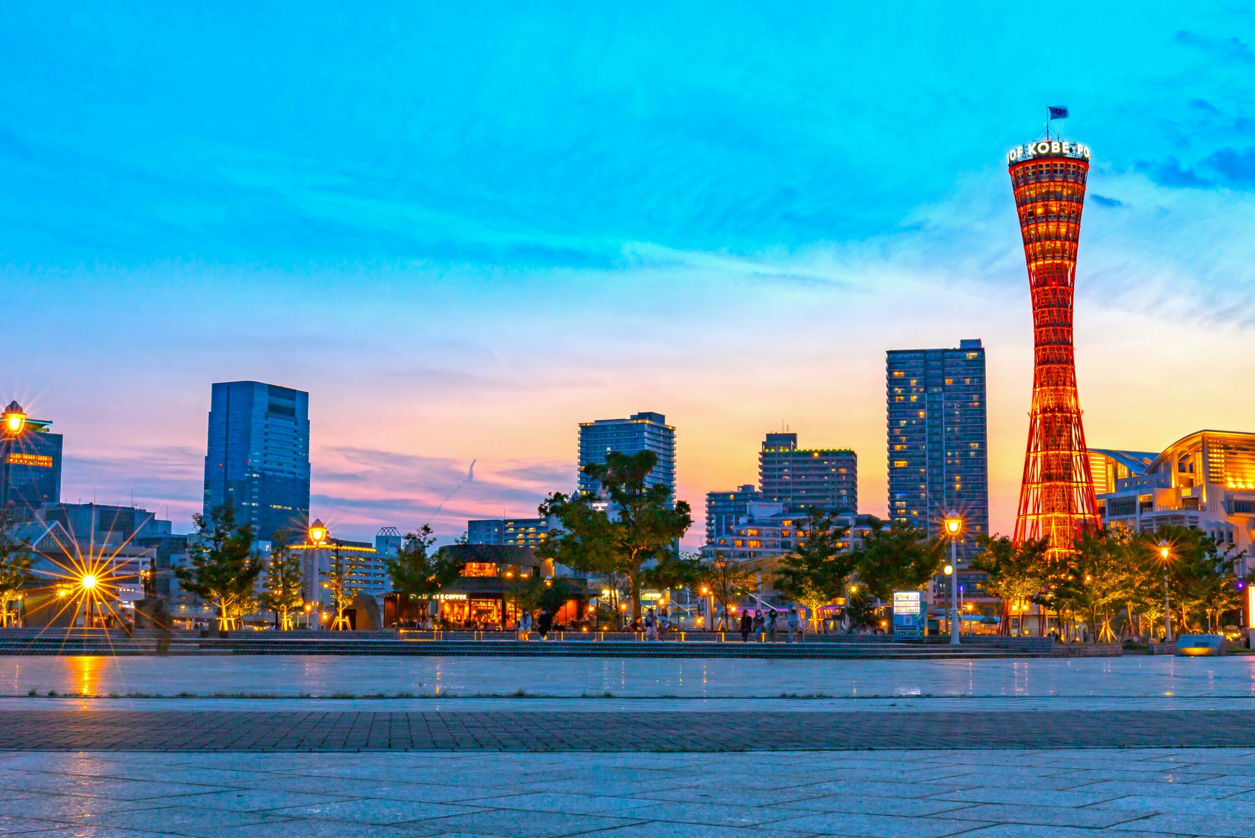 pexels-th-ng-van-3356029-9046372