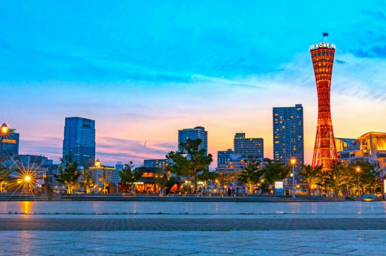 pexels-th-ng-van-3356029-9046372