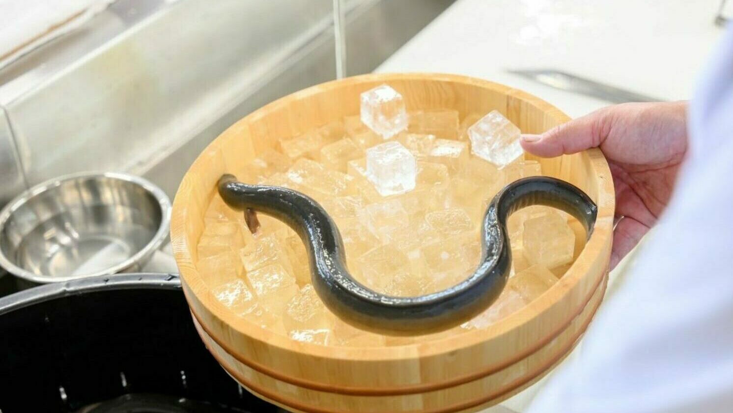 平沼水産株式会社