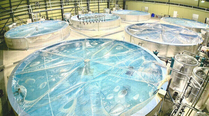 平沼水産株式会社